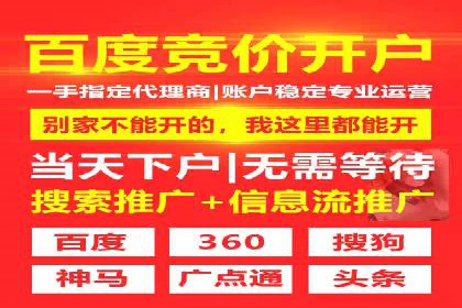 网络营销新篇章：竞价推广案例分析